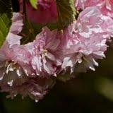 IMG_0447.jpg