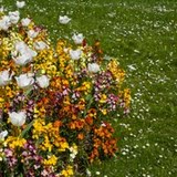 IMG_0382.jpg