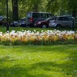 IMG_0438.jpg