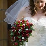 IMG_0442.jpg