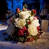 IMG_0473.jpg